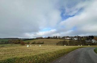 Haus kaufen in 58553 Halver, Ländliches Haus mit zwei Scheunen Wald, Wiese und Grünflächen in Halver zu verkaufen.