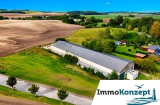 Gewerbeimmobilie mieten in 18239 Satow, Lagerhalle in Satow bei Rostock – 470 / 940 m², 2 Zufahrten, Starkstrom, teilbar