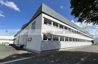 Büro zu mieten in 49084 Fledder, Mieten: Büro, Ausstellung, Halle und Sozialräume