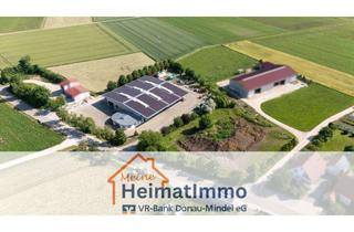 Gewerbeimmobilie kaufen in Langgasse 18, 86655 Harburg, Attraktives Gewerbeobjekt in Großsorheim – Halle, Büro und großzügige Grundstücksfläche