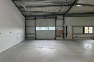 Büro zu mieten in 64859 Eppertshausen, JETZT ANRUFEN! | ca. 260 m² Hallenfläche + 180 m² Büro | kurzfristig