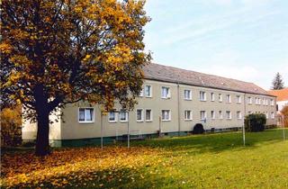 Anlageobjekt in Straße Der Jugend 1-3, 06729 Elsteraue, Top Invest! MFH in Elsteraue zu verkaufen!