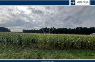 Grundstück zu kaufen in 15859 Storkow, Weitläufiges Land- und Forstwirtschaft- Grundstück