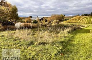 Grundstück zu kaufen in 74211 Leingarten, Freizeitidylle pur – Ruhe, Sonne und Natur in den Weinbergen von Leingarten