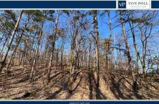 Grundstück zu kaufen in 15754 Heidesee, Bauträgerfreies Grundstück, nahe dem Wolziger See