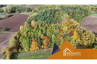 Grundstück zu kaufen in 96275 Marktzeuln, Waldgrundstück Kiefer-Birke-Eiche