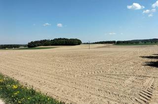 Grundstück zu kaufen in 86565 Gachenbach, Gewerbegebiet direkt an der B300