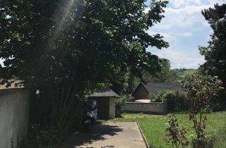 Grundstück zu kaufen in 55270 Jugenheim, Baugrund teilbar mit Mehrfamilienwohnhaus zu verkaufen