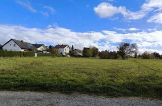 Grundstück zu kaufen in 75181 Pforzheim, Raum für Träume – Ihr Grundstück wartet auf Sie | Pforzheim-Hohenwart