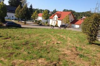 Grundstück zu kaufen in Auenblick, 88696 Owingen, voll erschlossenes Baugrundstück in Owingen, Nähe Bodensee von privat zu verkaufen - kein Bauzwang!