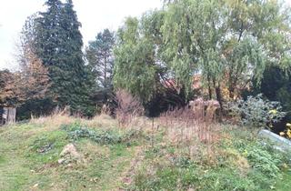 Grundstück zu kaufen in 01259 Kleinzschachwitz, Attraktiver Grund und Boden fußläufig zur Altstadt von Pirna