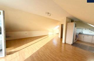 Büro zu mieten in 71665 Vaihingen an der Enz, +Hell belichtete Büro- & Praxisfläche in Vaihingen a. d. Enz Horrheim+