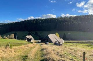 Immobilie kaufen in Urachtalstr. 48, 78147 Vöhrenbach, Provisionsfrei* Historisches Hofareal im Urachtal, -75 ha Land, Wald, Jagd