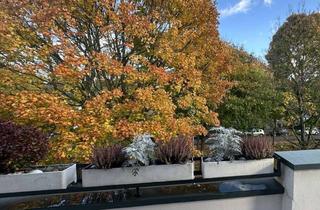 Wohnung kaufen in 47799 Cracau, Zeitlos schöne Wohnung mit einer wundervollen Terrasse