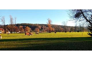 Haus mieten in 83703 Gmund, Einfamilienhaus mit 4 Zimmern und Carport in Gmund am Tegernsee