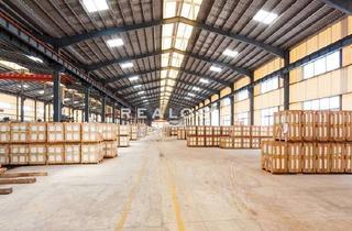 Büro zu mieten in 97828 Marktheidenfeld, Lager- und Produktionsfläche mit ca. 5.300 m² zzgl. Büro zu vermieten