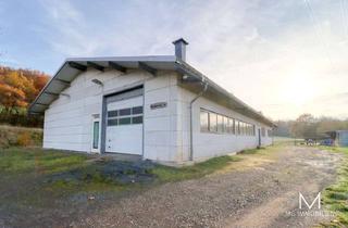 Gewerbeimmobilie mieten in 66871 Pfeffelbach, MG - Lager- / Fertigunshalle in Pfeffelbach mit Freifläche