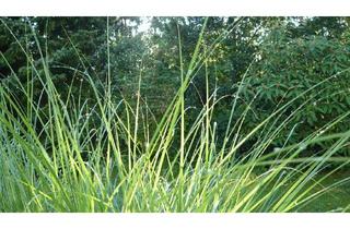 Grundstück zu kaufen in 85658 Egmating, Baugrundstück in schöner Lage in Egmating-Oberpframmern - mit Baugenehmigung