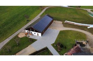 Lager kaufen in 89584 Ehingen, Großzügiges Anwesen mit 2 Doppelhaushälften, Maschinenhalle und Nebengebäude