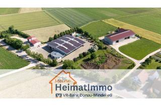 Gewerbeimmobilie kaufen in Langgasse 18, 86655 Harburg, Attraktives Gewerbeobjekt in Großsorheim – Halle, Büro und großzügige Grundstücksfläche