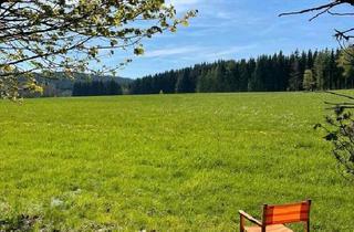 Einfamilienhaus kaufen in 95352 Marktleugast, Marktleugast - Schönes EFH in ruhiger Lage, provisionsfrei