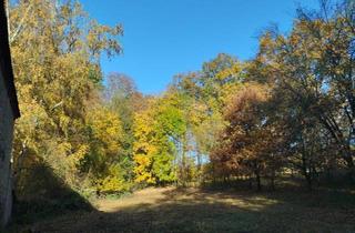 Einfamilienhaus kaufen in 04720 Döbeln, Döbeln - Traumhaftes Grundstück in Nossen