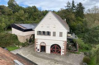 Lofts mieten in Frohnmühle, 71263 Weil der Stadt, Loftwohnung in idyllischer Frohnmühle – Natur, Wasser und klimazertifiziertes Wohnen