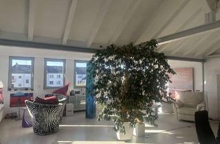 Penthouse mieten in 68165 Schwetzingerstadt, Helles Penthouse in bester Lage