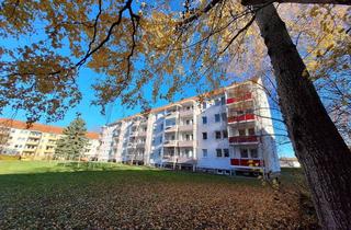 Wohnung mieten in Otto-Lilienthal-Straße 31, 08468 Reichenbach, Euer Lichtblick für einen Sofortbezug! Sanierte 3-Raum-Wohnung mit Balkon in grüner Sta...