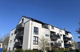 Penthouse mieten in 64673 Zwingenberg, Exklusives Penthouse mit Empore, Kamin, Klimaanlage, Panoramablick