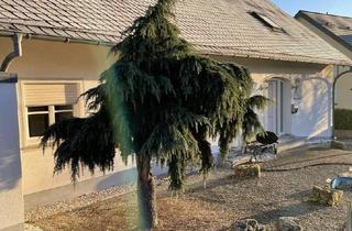 Wohnung mieten in 54457 Wincheringen, Traumhafte 6 ZKB, ca. 165 qm, mit Balkon & Gartenanteil, EBK, gr. Tageslichtbad, Kinderbad, Gäste WC