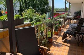 Wohnung mieten in 79415 Bad Bellingen, Großzügige 3 Zimmerwohnung in Bad Bellingen