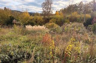 Haus kaufen in 07768 Großeutersdorf, Architektenhaus in landschaftlich reizvoller Umgebung