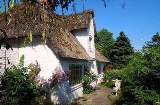 Haus kaufen in Gather Landstrasse 83, 25899 Niebüll, SYLTNÄHE ! Großes Eck-Grundstück mit Altbestand sucht neuen Eigentümer