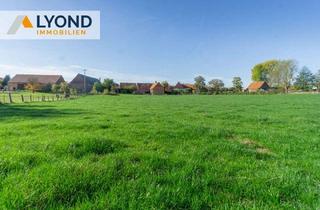 Bauernhaus kaufen in 34474 Diemelstadt, Historisches Bauernhaus mit Scheunen, Stallungen und Weidefläche in Diemelstadt Dehausen!