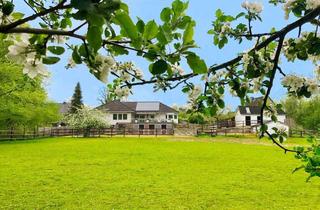 Haus kaufen in Hasenkrog 3 A, 23867 Sülfeld, Luxuriöse Traumimmobilie in ruhiger Ortsrandlage - auch ein Anwesen für Pferdebesitzer