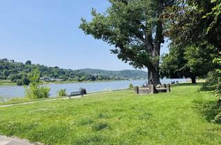 Einfamilienhaus kaufen in 53572 Unkel, Familientraum am Rhein: Freistehendes Einfamilienhaus mit Garten in Unkel - 2016 top saniert!