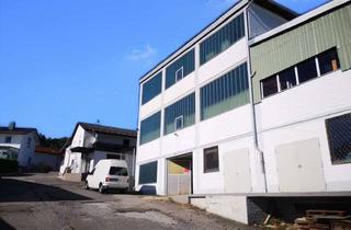 Gewerbeimmobilie kaufen in 94259 Kirchberg im Wald, Gewerbeobjekt in Kirchberg i.Wald