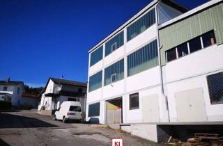 Gewerbeimmobilie kaufen in 94259 Kirchberg im Wald, Gewerbeobjekt in Kirchberg i.Wald