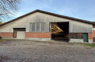 Gewerbeimmobilie mieten in Gut Kogel, 23883 Sterley, Lagerhalle