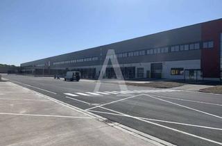 Gewerbeimmobilie mieten in 40764 Langenfeld, MODERNE LOGISTIKHALLE | MIETE | BIS 10,50 M UKB | RAMPE & EBENERDIG | ANGERMANN NRW