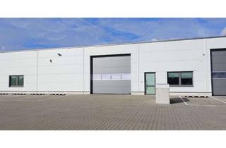 Büro zu mieten in Zillessen-Allee, 41334 Nettetal, Lagerhalle mit modernstem Bürotrakt