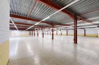 Büro zu mieten in 48683 Ahaus, Ahaus-Wüllen || 3.167 m² Lagerfläche mit Büro