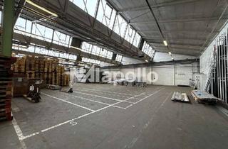 Gewerbeimmobilie mieten in 55545 Bad Kreuznach, 3,75 €/m² | ca. 12.000 m² Hallenfläche | teilbar ab 4.000 m² | ab Q1 2026 | unmittelbar A61