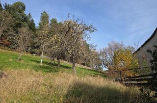 Grundstück zu kaufen in 75337 Enzklösterle, Enzklösterle: Baugrundstück im idyllischen Nordschwarzwald *PROVISIONSFREI*