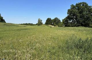 Grundstück zu kaufen in Bokelstr., 21354 Bleckede, 2 Baugrundstücke in Breetze