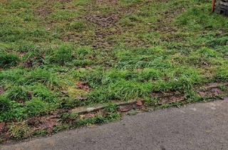 Grundstück zu kaufen in 49525 Lengerich, Einziehen statt suchen – Haus & Grundstück im perfekten Duo!