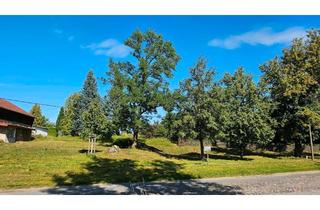 Grundstück zu kaufen in 15377 Oberbarnim, Idyllisches Baugrundstück im Herzen der Märkischen Schweiz – Wohnen, wo andere Urlaub machen!