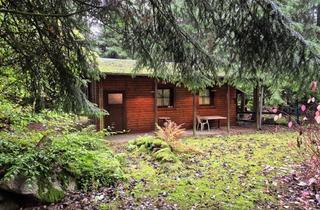 Grundstück zu kaufen in Waldweg 29, 08485 Lengenfeld, Idyllisches Gartengrundstück mit geräumigem Bungalow