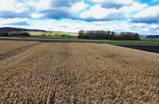 Immobilie kaufen in 84164 Moosthenning, Ackerfläche bei RimbachGemeinde Moosthenning